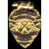 LOS ANGELES COUNTY, CA FIRE DEPT BATTALION CHIEF MINI BADGE PIN